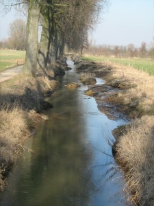 Zweigkanal nach der Renaturierung 2009