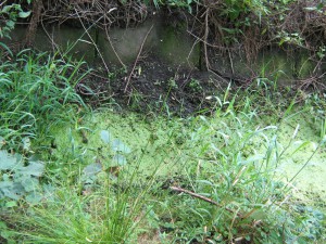 Gewässersohle mit Sohlschalen aus Beton