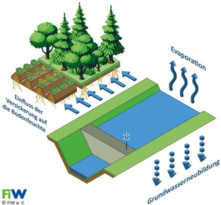 Schematische Darstellung des Wasserhaushalts mit Versickerung in den Boden, Einfluss auf die Bodenfeuchte, Evaporation und Grundwasserneubildung.