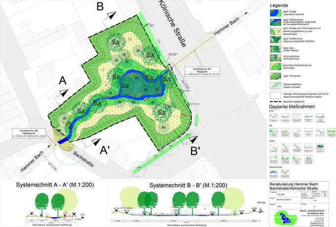 Gestaltungsplan zur Renaturierung des Hammer Bachs an der Bachstraße/Kölnischen Straße mit Lageplan, geplanten Maßnahmen und zwei Querschnitten.