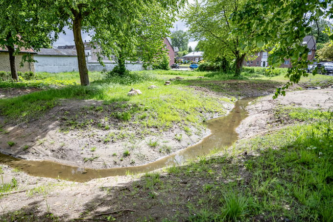 Naturnah umgestalteter Abschnitt des Hammer Bachs am Rothweg mit geschwungenem Gewässerverlauf und flachen Uferbereichen.