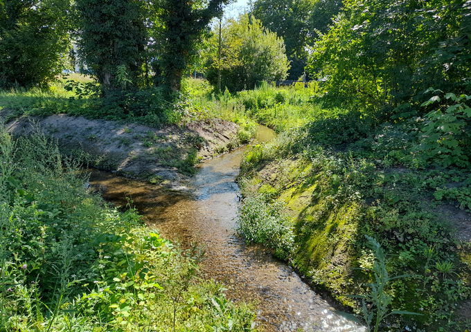 Renaturierter Abschnitt des Hammer Bachs an der Bachstraße mit naturnahem Gewässerverlauf und begrünten Uferbereichen.