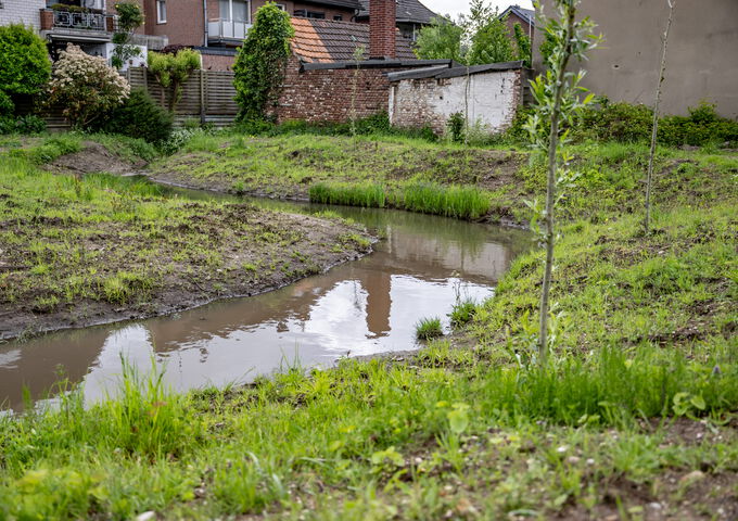 Naturnah gestalteter Gewässerabschnitt mit geschwungenem Verlauf und neu angelegten Uferbereichen.
