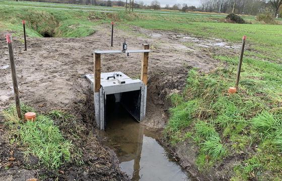 Steuerbauwerk zur Wasserstandsteuerung in einem Graben zwischen begrünten Flächen als Teil des Projekts NiersCon.