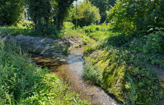 Renaturierter Abschnitt des Hammer Bachs an der Bachstraße mit naturnahem Gewässerverlauf und begrünten Uferbereichen.