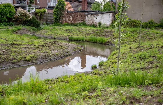 Naturnah gestalteter Gewässerabschnitt mit geschwungenem Verlauf und neu angelegten Uferbereichen.