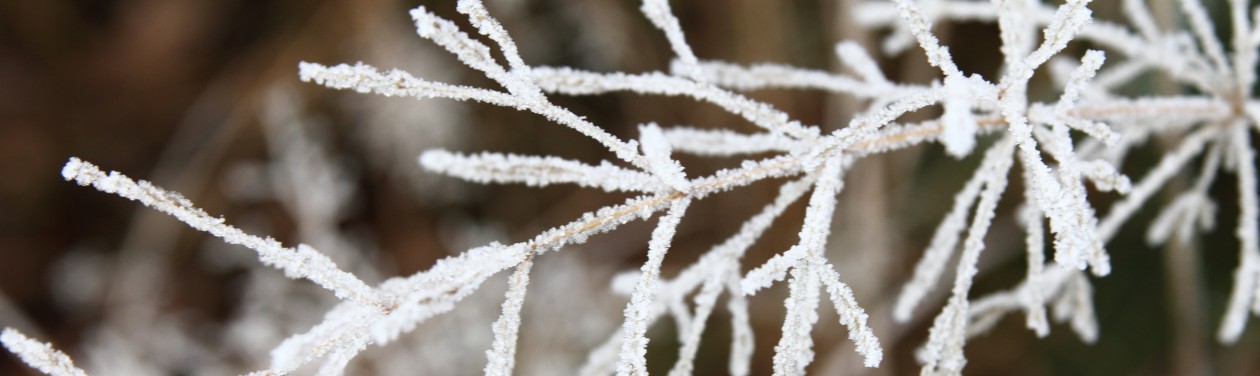 14.12.2020: Öffnungszeiten und Erreichbarkeit